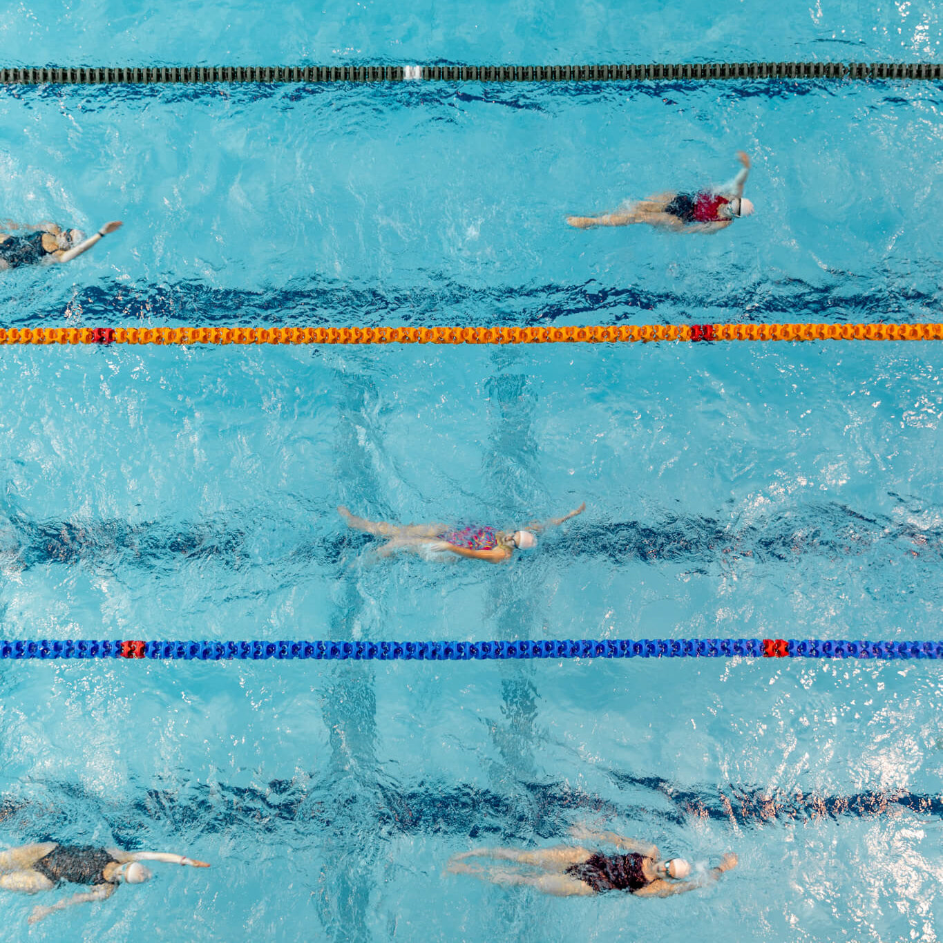 Instant Swim Club